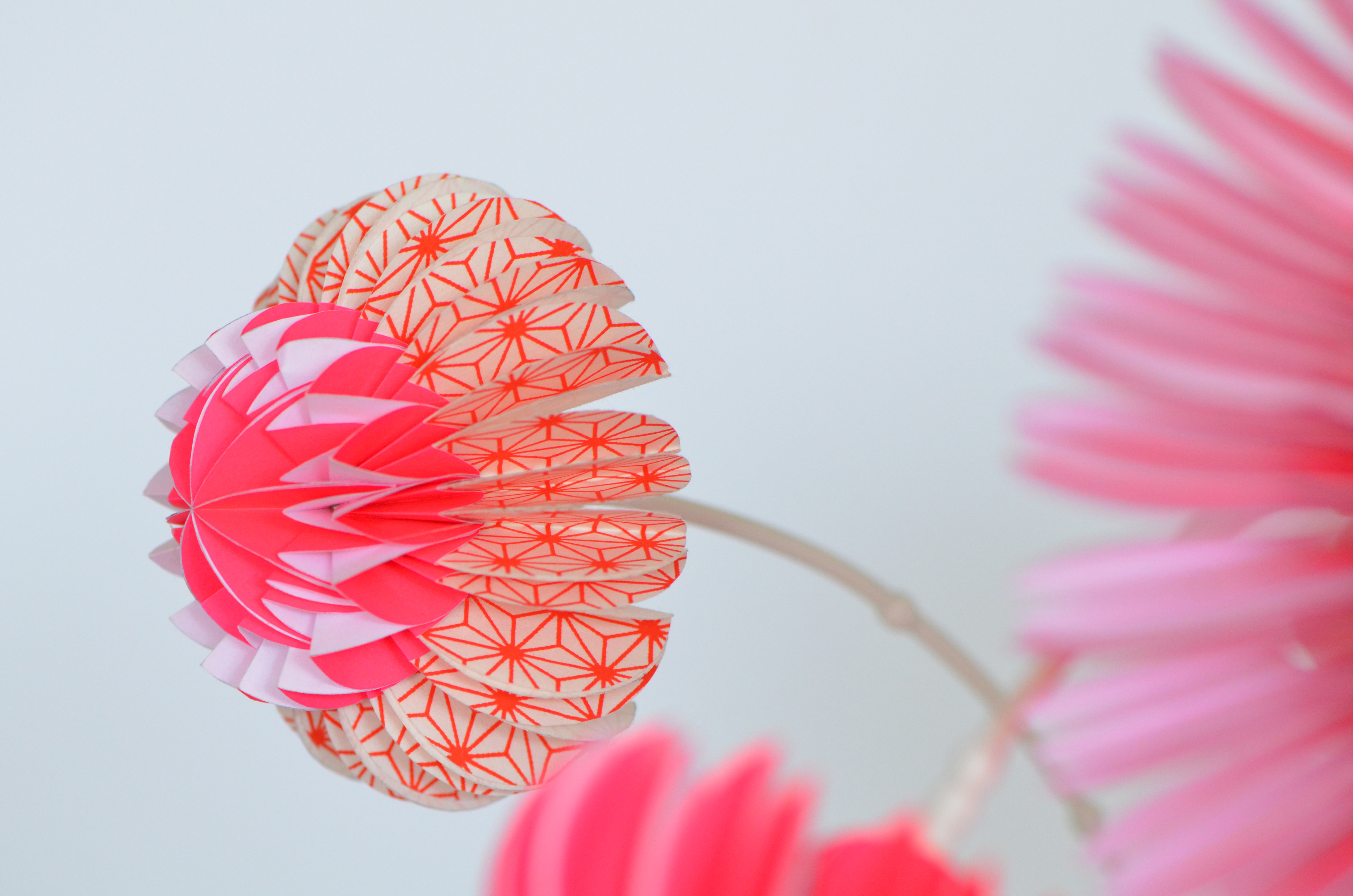 paperflowers pink
