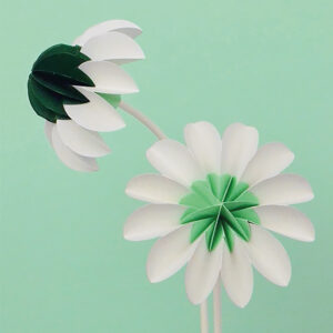 paper flowers lente